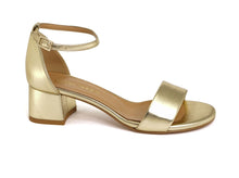 Load image into Gallery viewer, THETIS