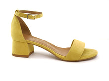 Load image into Gallery viewer, THETIS