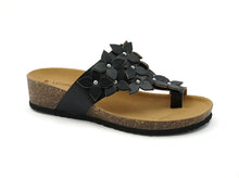 Load image into Gallery viewer, LINDY