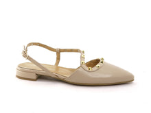 Load image into Gallery viewer, SAPRI