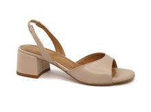 Load image into Gallery viewer, BAILY