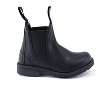 Load image into Gallery viewer, NEMO