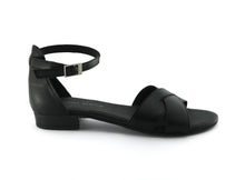 Load image into Gallery viewer, DORA