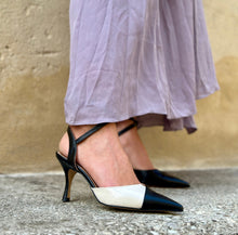 Load image into Gallery viewer, NIVE