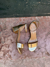 Load image into Gallery viewer, THETIS