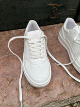 Load image into Gallery viewer, VIGO