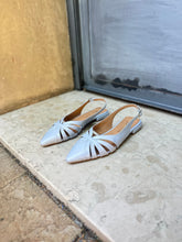 Load image into Gallery viewer, ANICE