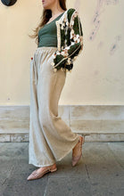 Load image into Gallery viewer, EFIS