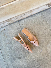 Load image into Gallery viewer, EFIS