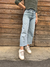 Load image into Gallery viewer, GINNI