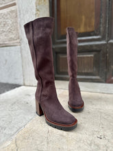 Load image into Gallery viewer, CATI