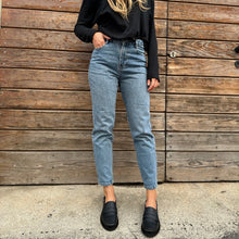 Load image into Gallery viewer, BRIS