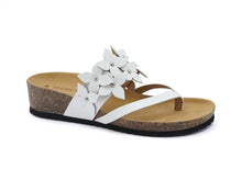 Load image into Gallery viewer, LINDY