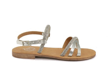 Load image into Gallery viewer, AMLA