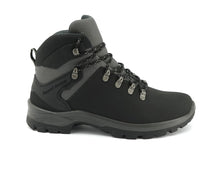 Load image into Gallery viewer, DAST