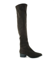 Load image into Gallery viewer, CARLI