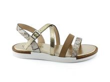 Load image into Gallery viewer, NEVA