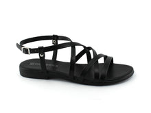 Load image into Gallery viewer, SILE