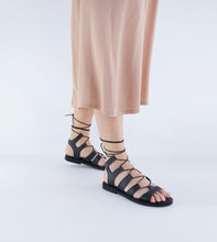 Load image into Gallery viewer, ALOS