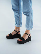 Load image into Gallery viewer, AVA