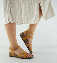 Load image into Gallery viewer, CAMI