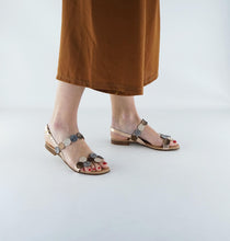 Load image into Gallery viewer, CLARI