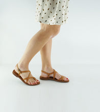 Load image into Gallery viewer, CORI