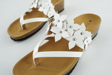 Load image into Gallery viewer, LINDY