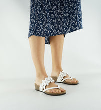 Load image into Gallery viewer, LINDY