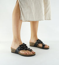 Load image into Gallery viewer, LINDY