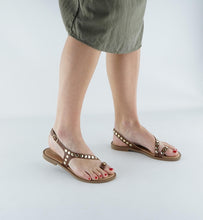 Load image into Gallery viewer, PETRA