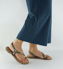 Load image into Gallery viewer, PETRA