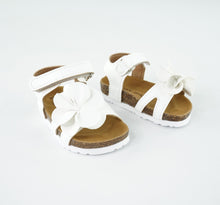 Load image into Gallery viewer, ROSI