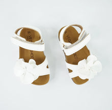 Load image into Gallery viewer, ROSI