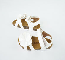 Load image into Gallery viewer, ROSI