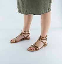 Load image into Gallery viewer, TEMIS