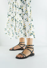 Load image into Gallery viewer, TEMIS