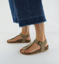 Load image into Gallery viewer, TIVA