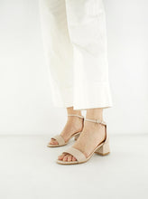 Load image into Gallery viewer, THETIS