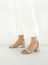 Load image into Gallery viewer, THETIS