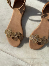 Load image into Gallery viewer, HALI