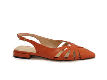 Load image into Gallery viewer, ANICE