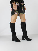 Load image into Gallery viewer, ANEVA