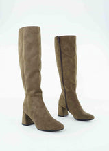 Load image into Gallery viewer, ANEVA