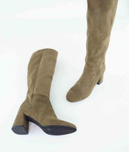 Load image into Gallery viewer, ANEVA