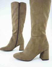 Load image into Gallery viewer, ANEVA