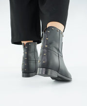 Load image into Gallery viewer, LEDI