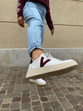 Load image into Gallery viewer, VEGA