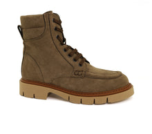 Load image into Gallery viewer, DAFNE
