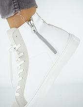 Load image into Gallery viewer, MID
